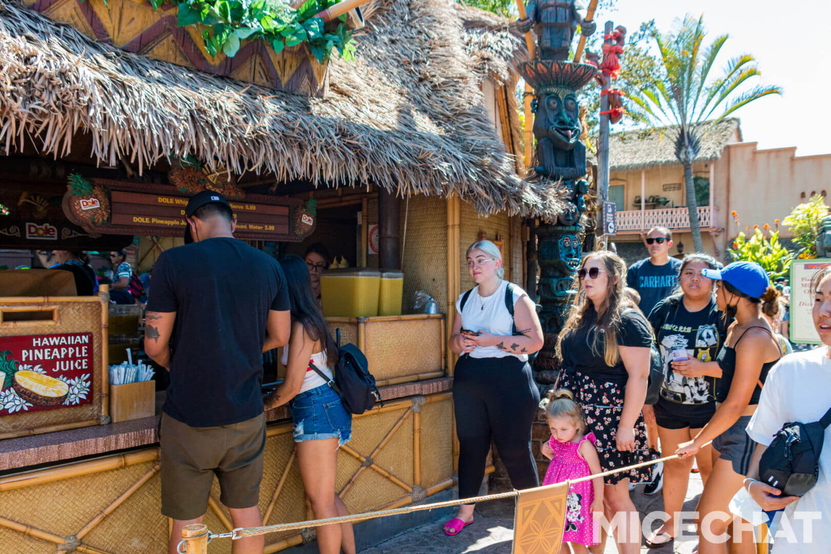 , Disneyland Update – Uncertainty Returns to Packed Parks