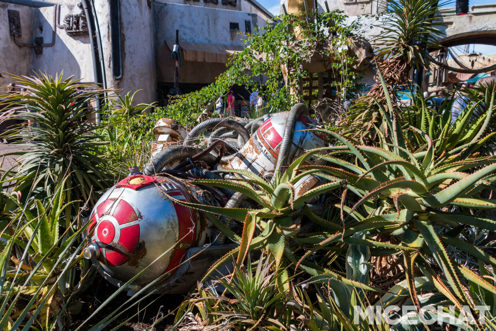 , Disneyland Update – Uncertainty Returns to Packed Parks