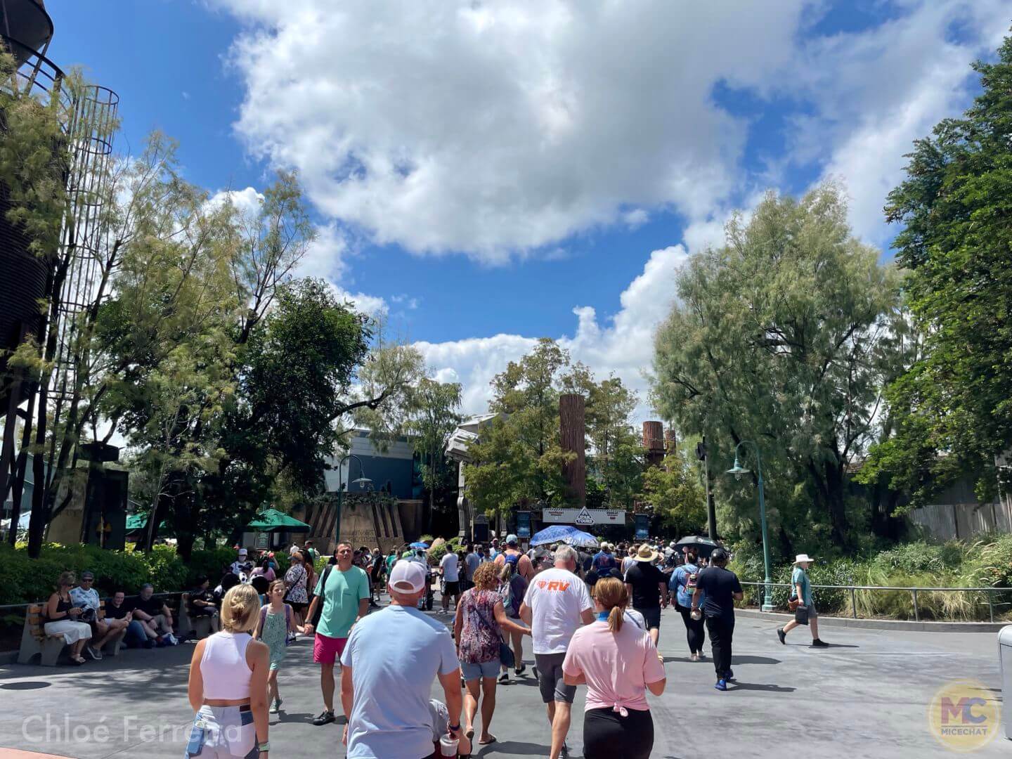 , Walt Disney World Update – 50 Boom & Monorail Zoom
