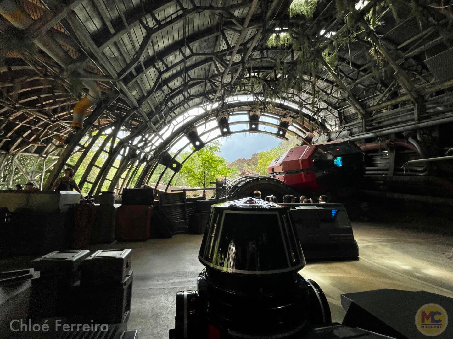 , Walt Disney World Update: Cool Returns, Golden Friends & Rapid Change