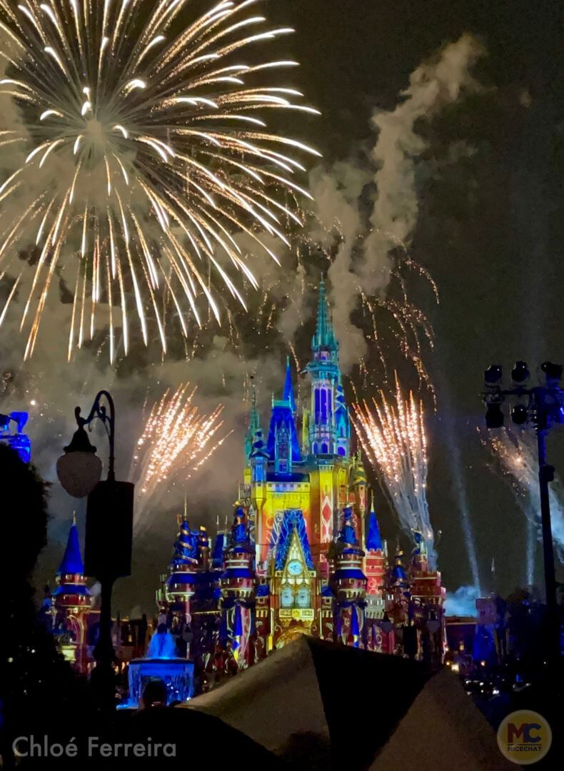 , Walt Disney World Update – 50 Boom & Monorail Zoom