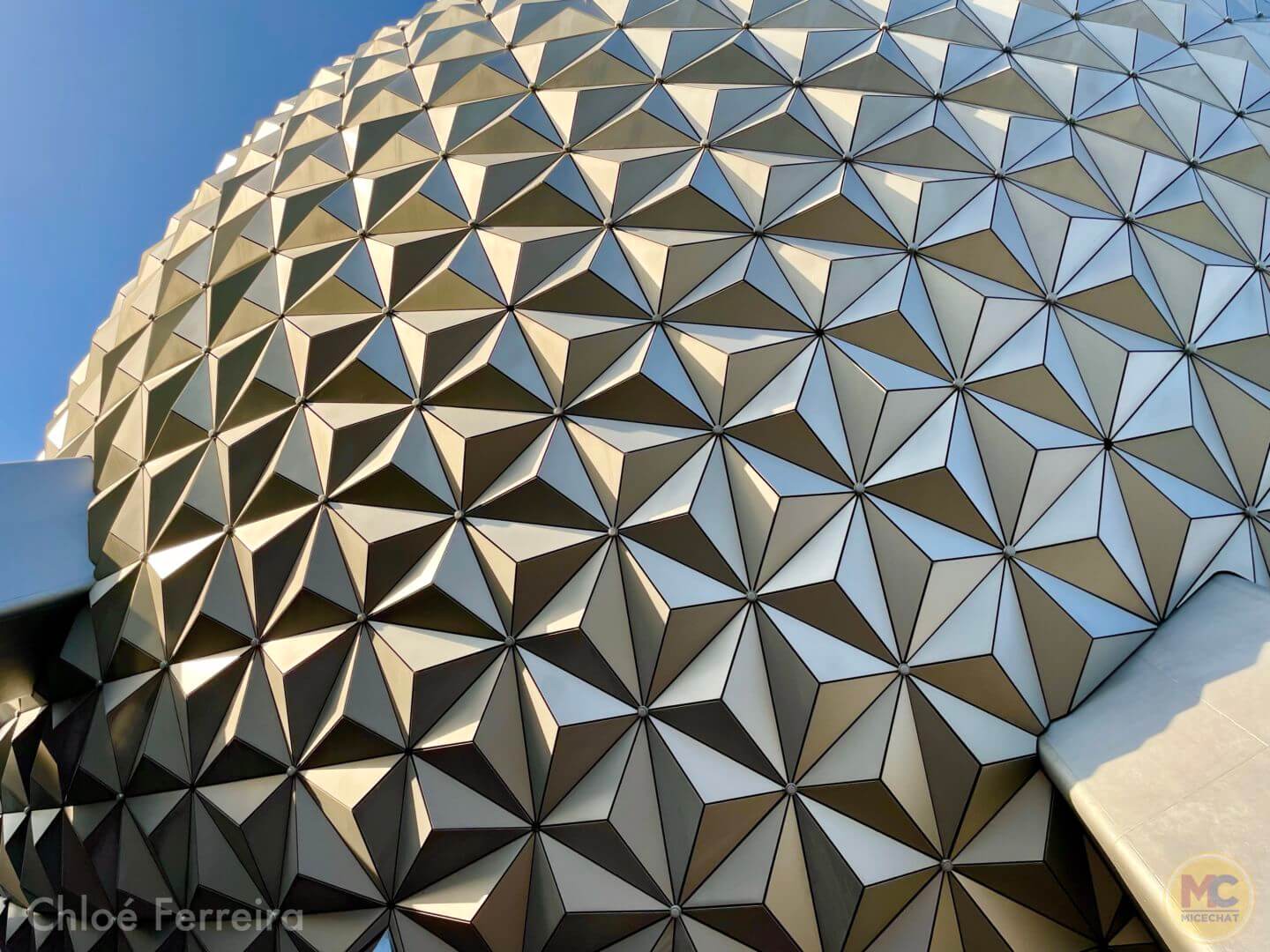 , Walt Disney World Update: Cool Returns, Golden Friends & Rapid Change