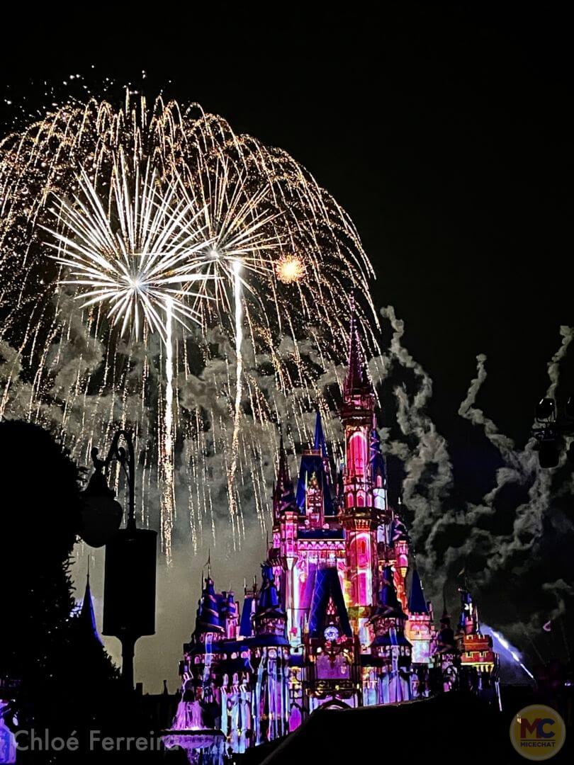 , Walt Disney World Update – 50 Boom & Monorail Zoom
