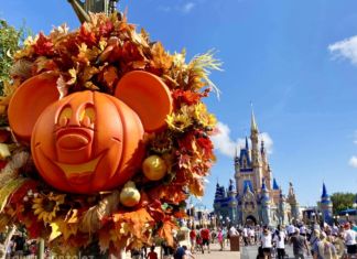 Walt Disney World Update: Magic, Starships, and Pumpkins