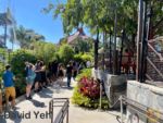 Trader Sams Wait