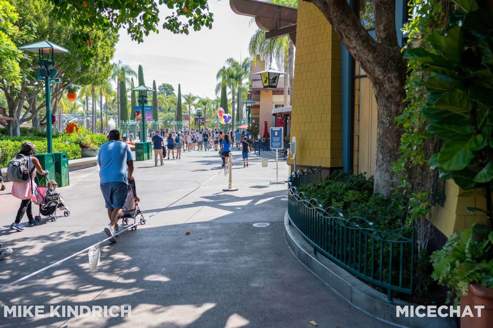 , Disneyland Update – Uncertainty Returns to Packed Parks