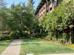disney-grand-californian-hotel-garden-area