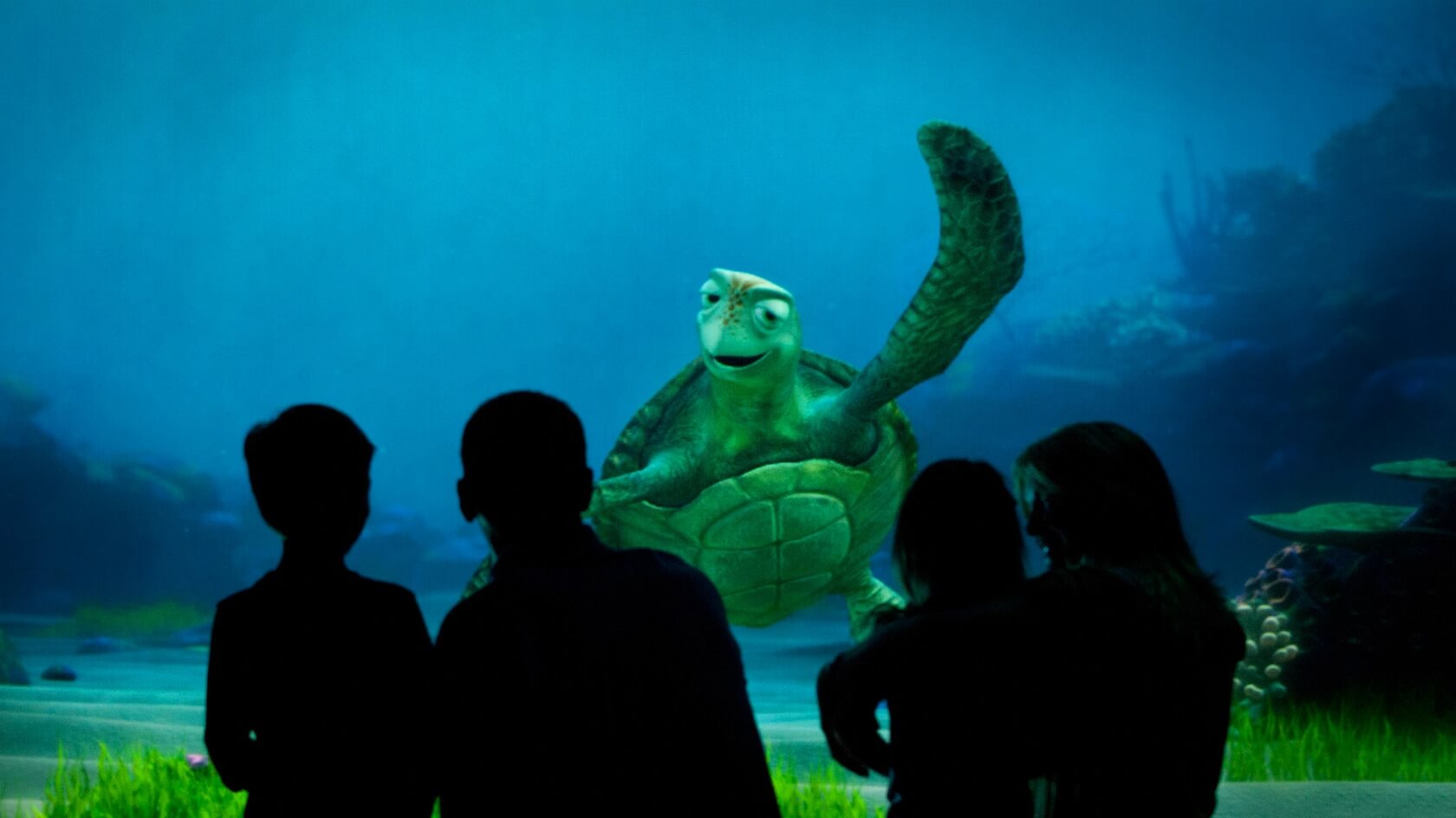 , Show Time! More Entertainment Returning to Walt Disney World