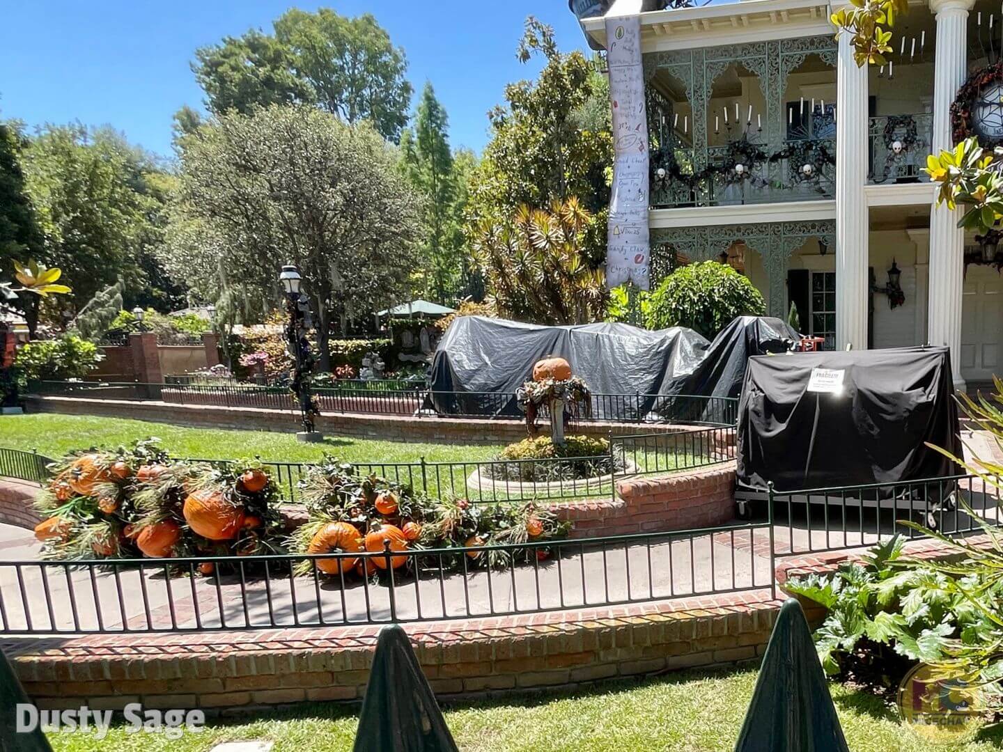 , Disneyland Update: Magic Key Crowds & Bats in the Belfry