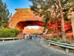 DCA Cars Land Arch-micechat