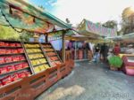 DCA Cars Land Fillmores Taste Inn-micechat