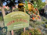 DCA Cars Land Horn of Plenty-micechat