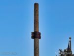 DCA Halloween Cars Land prop poles-micechat