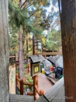 DCA Redwood Creak Villains Grove constructino wall back-micechat