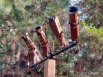 DCA Redwood Creak Villains Grove lights 3-micechat