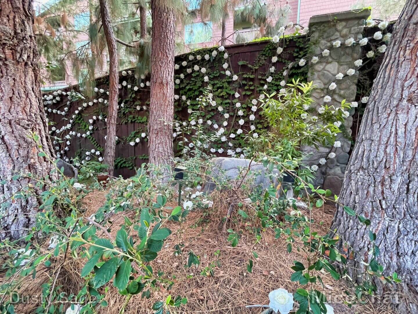 , Disneyland Resort Update: Magic Keys Unlock TODAY & New Halloween Villains