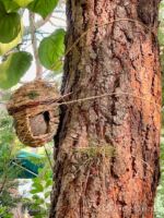 DCA Redwood Creak Villains Grove speakers-micechat
