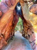 DCA Redwood Creak Villains Grove tree day-micechat