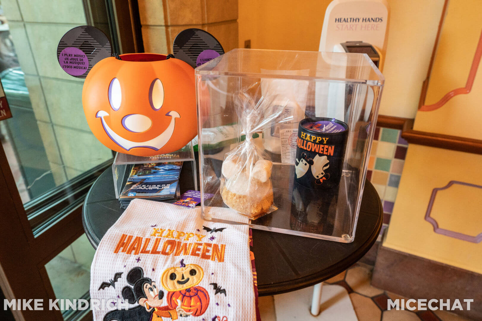 , Disneyland Update: Magic Key Crowds & Bats in the Belfry