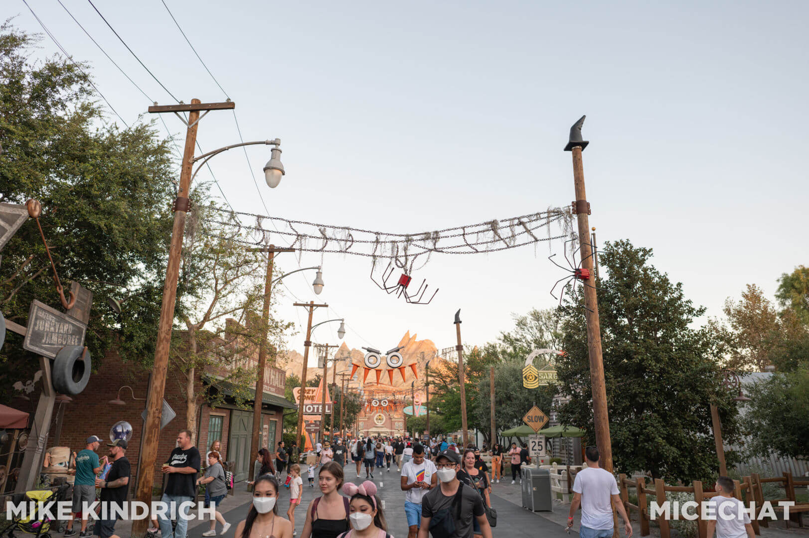 , Disneyland Update: Magic Key Crowds & Bats in the Belfry