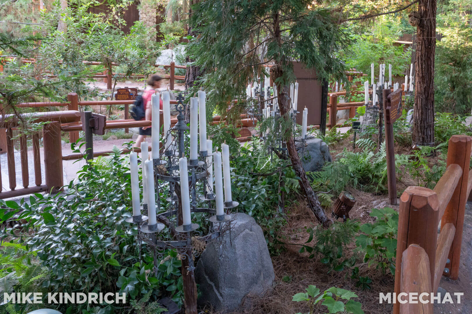 , Disneyland Update: Magic Key Crowds & Bats in the Belfry