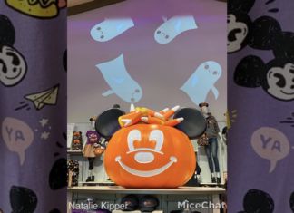 Disneyland Merchandise Update: Fall Down the Rabbit Hole