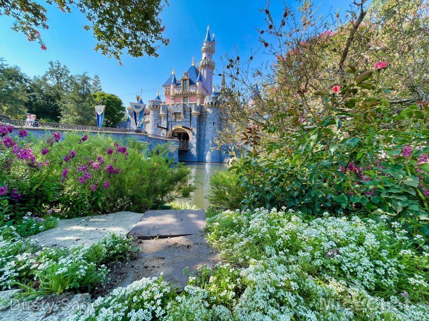 , Disneyland Update &#8211; The Shocking Calm Before Magic Keys Unlock a Storm