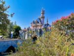 Disneyland Castle Moat View-micechat