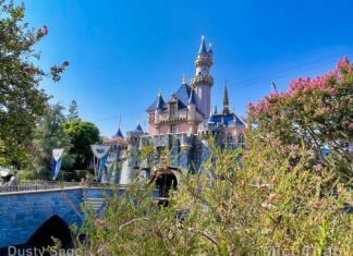 Disneyland Update – The Shocking Calm Before Magic Keys Unlock a Storm