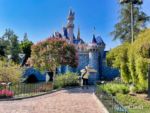 Disneyland Castle garden view-micechat