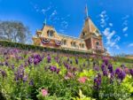 Disneyland Entry Flowers and Train Station-micechat