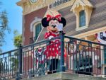 Disneyland Minnie Mouse Goodbye-micechat