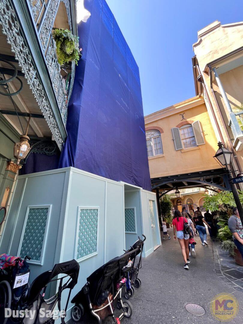 , Disneyland Update: Magic Key Crowds & Bats in the Belfry