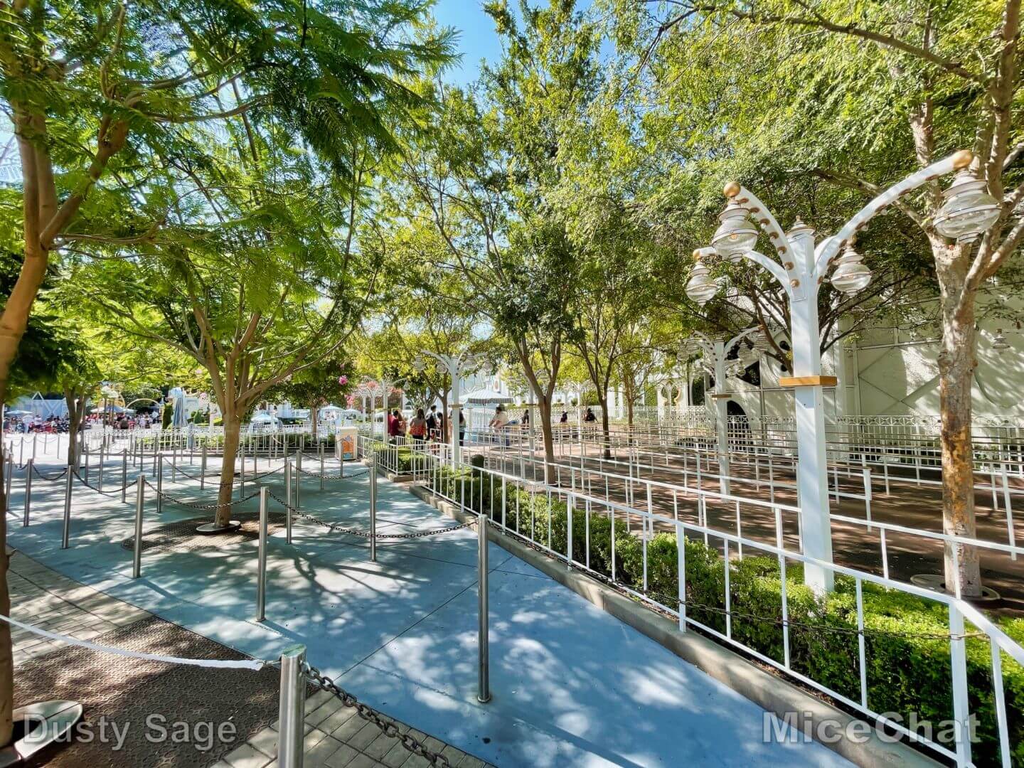 , Disneyland Update – The Shocking Calm Before Magic Keys Unlock a Storm