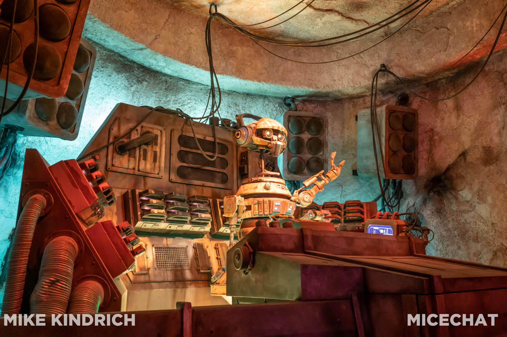 , DISNEYLAND UPDATE: CEO Shock, Napa Rose Reborn & DCA’s 25th Birthday Bash!