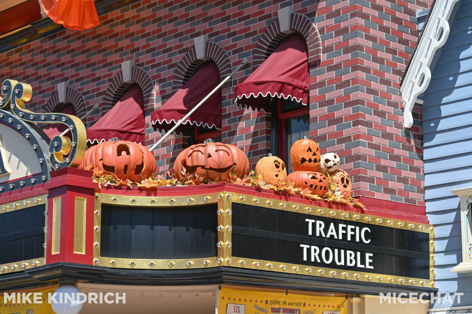 , Disneyland Update: Magic Key Crowds & Bats in the Belfry