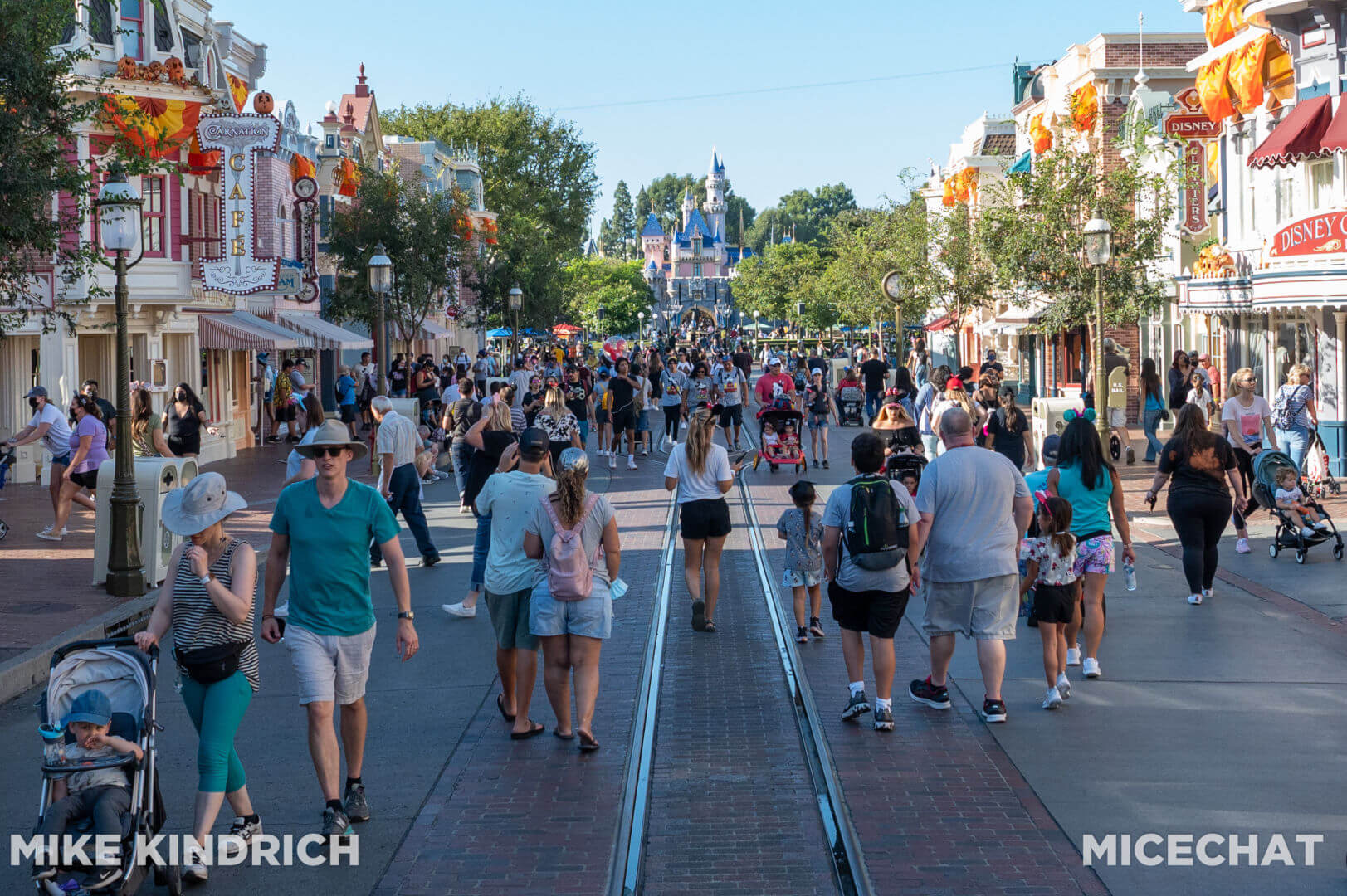 , Disneyland Update: Magic Key Crowds & Bats in the Belfry