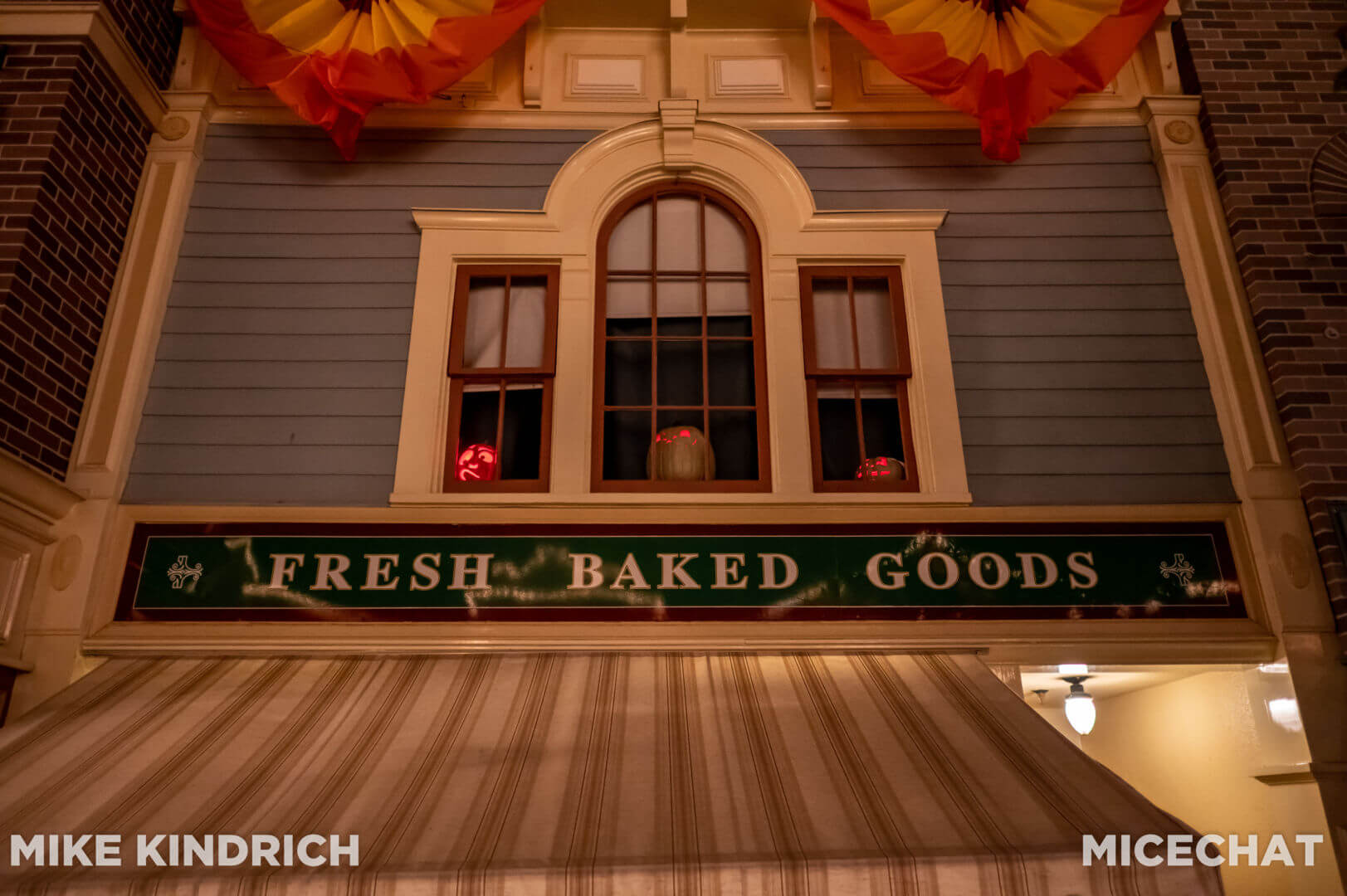 , Disneyland Update: Magic Key Crowds & Bats in the Belfry