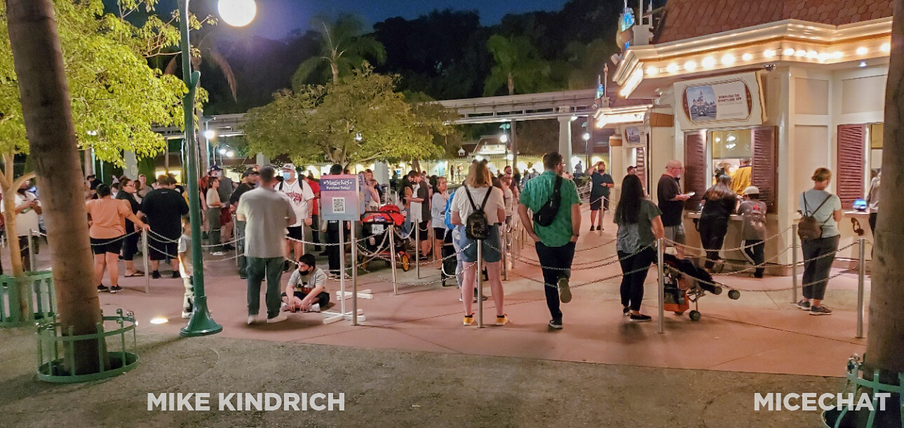 , Disneyland Update: Magic Key Crowds & Bats in the Belfry