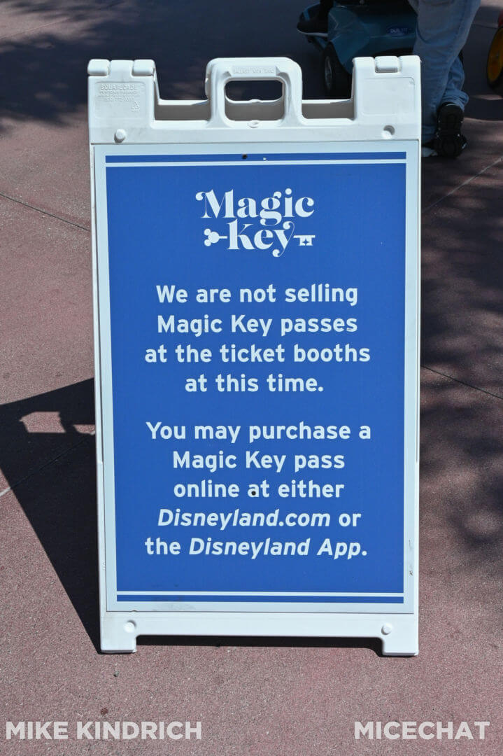 , Disneyland Update: Magic Key Crowds &#038; Bats in the Belfry