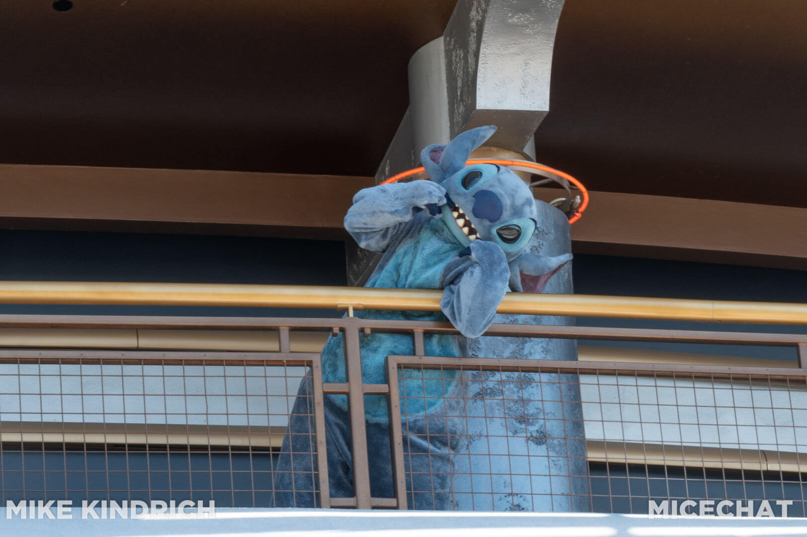 , Disneyland Update: Magic Key Crowds & Bats in the Belfry