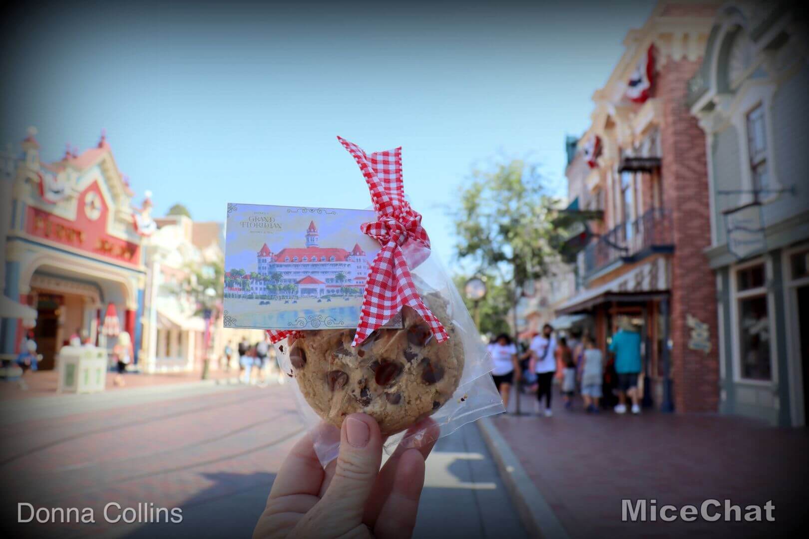 , Disney’s Grand Floridian Chocolate Chip Cookie Recipe!