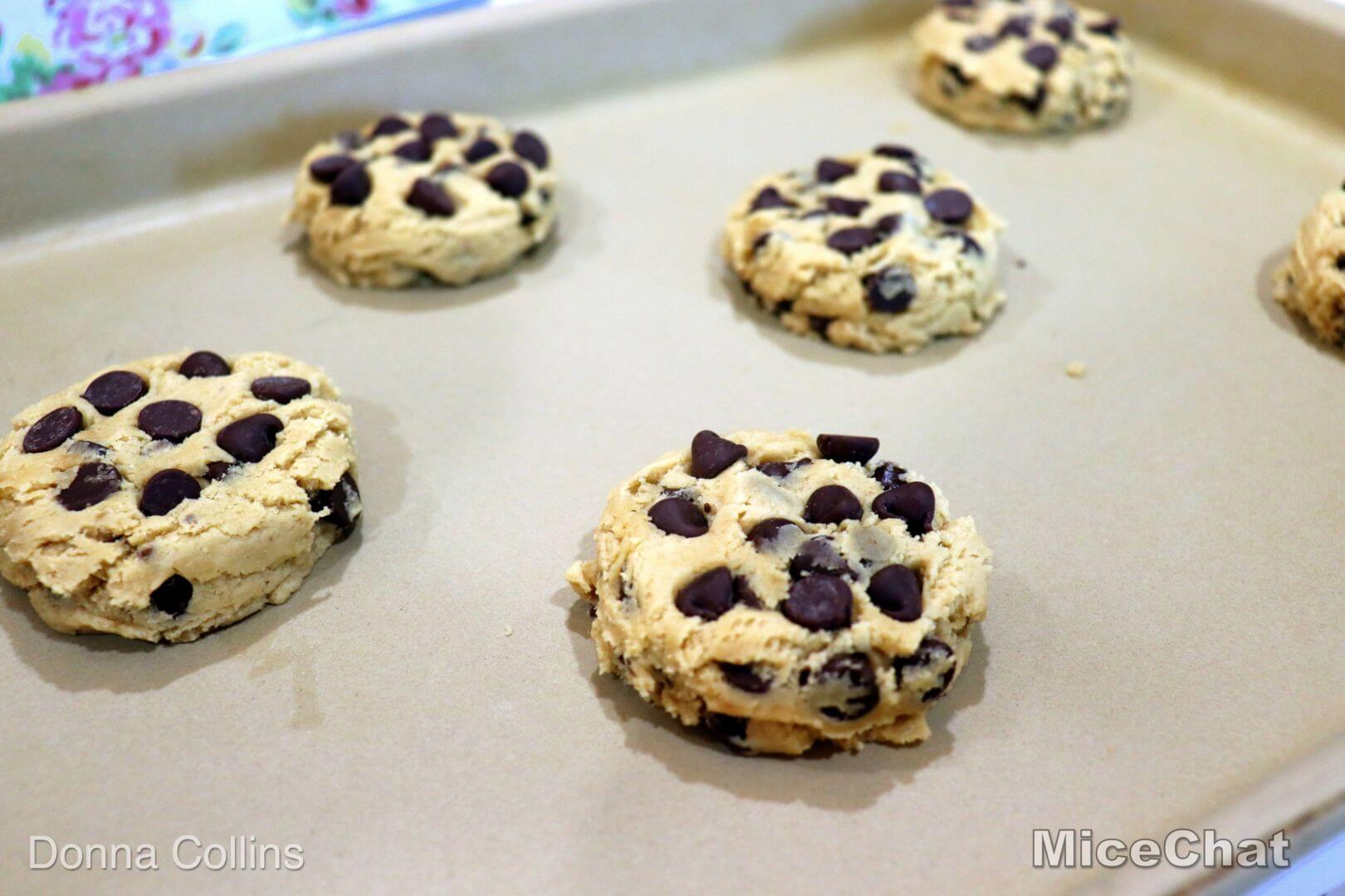 , Disney’s Grand Floridian Chocolate Chip Cookie Recipe!