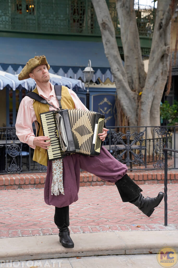 , Disneyland Update: Magic Key Crowds & Bats in the Belfry