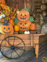 MiceChat – Disneyland – Halloween – Davy Crockett’s Pioneer Mercantile – Halloween Decor – 1