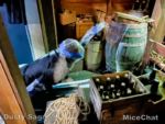 Universal Halloween Horror Nights Haunting of Hill House 9 basement Ghost-micechat