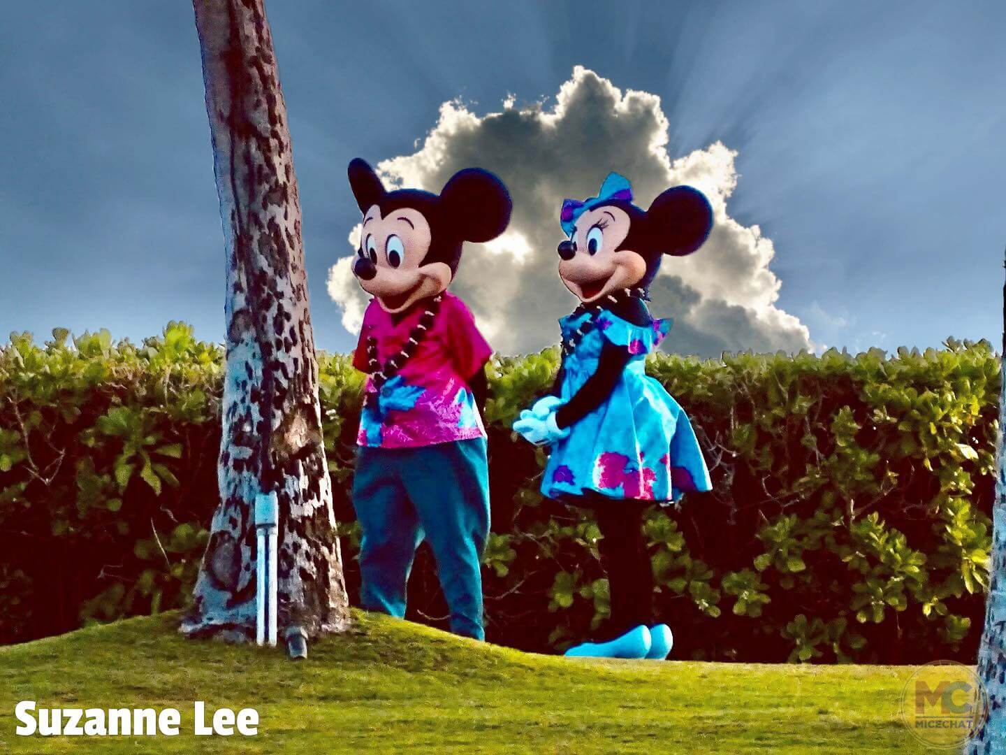 , Disneyland Merchandise Update: Hazard Ahead?