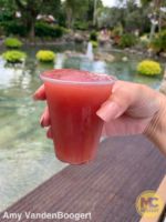 busch gardens tampa bier fest blackberry peach sangria