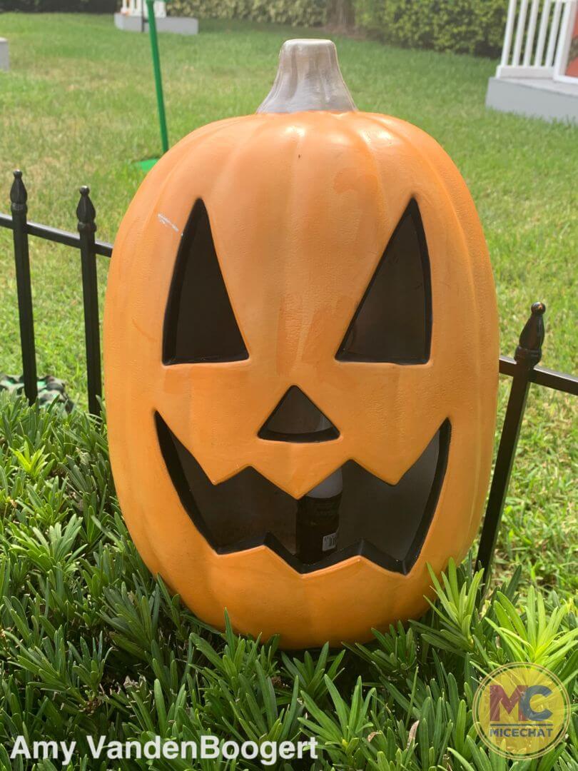 , Checking In with Busch Gardens Tampa: Bier Fest, Howl-O-Scream & Iron Gwazi