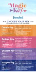 Disneyland Magic Key levels